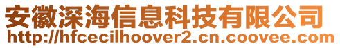 安徽深海信息科技有限公司