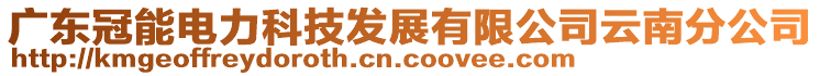 廣東冠能電力科技發(fā)展有限公司云南分公司