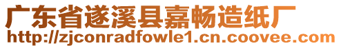 廣東省遂溪縣嘉暢造紙廠