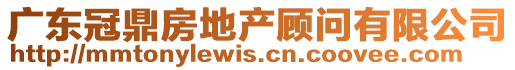 廣東冠鼎房地產(chǎn)顧問有限公司