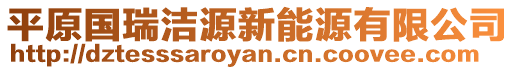 平原國(guó)瑞潔源新能源有限公司