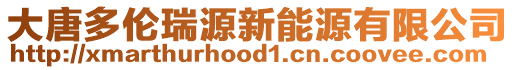 大唐多倫瑞源新能源有限公司