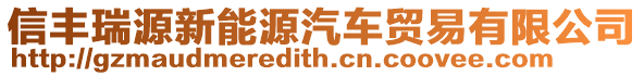 信豐瑞源新能源汽車貿(mào)易有限公司