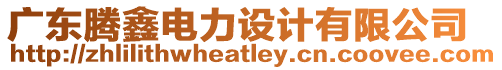 廣東騰鑫電力設(shè)計有限公司