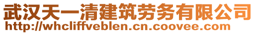 武漢天一清建筑勞務(wù)有限公司