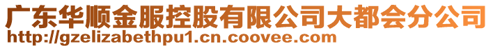 廣東華順金服控股有限公司大都會分公司