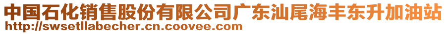 中國(guó)石化銷售股份有限公司廣東汕尾海豐東升加油站