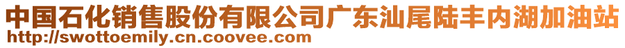 中國(guó)石化銷(xiāo)售股份有限公司廣東汕尾陸豐內(nèi)湖加油站