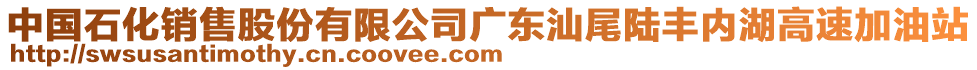 中國石化銷售股份有限公司廣東汕尾陸豐內(nèi)湖高速加油站