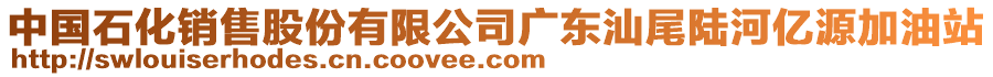 中國石化銷售股份有限公司廣東汕尾陸河億源加油站