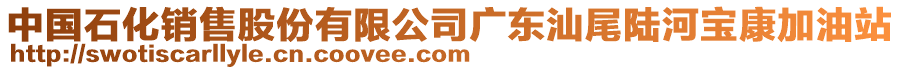 中國(guó)石化銷售股份有限公司廣東汕尾陸河寶康加油站