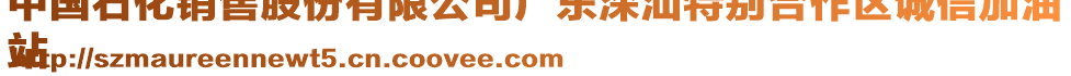 中國(guó)石化銷售股份有限公司廣東深汕特別合作區(qū)誠(chéng)信加油
站