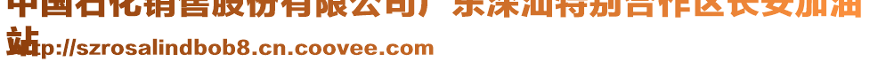 中國石化銷售股份有限公司廣東深汕特別合作區(qū)長安加油
站