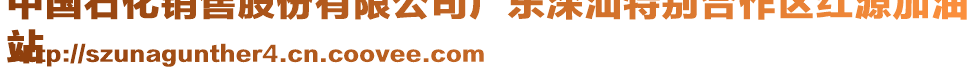 中國(guó)石化銷售股份有限公司廣東深汕特別合作區(qū)紅源加油
站