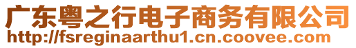 廣東粵之行電子商務(wù)有限公司