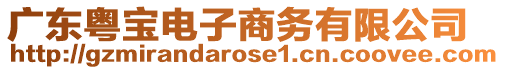 廣東粵寶電子商務(wù)有限公司