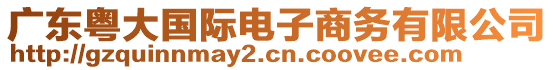 廣東粵大國(guó)際電子商務(wù)有限公司