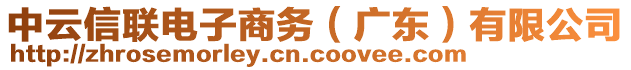 中云信联电子商务（广东）有限公司