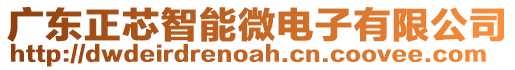 廣東正芯智能微電子有限公司