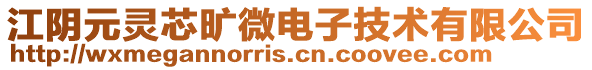 江阴元灵芯旷微电子技术有限公司