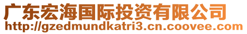 廣東宏海國(guó)際投資有限公司