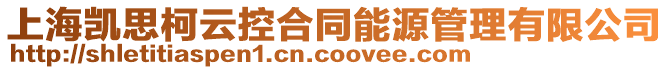 上海凱思柯云控合同能源管理有限公司