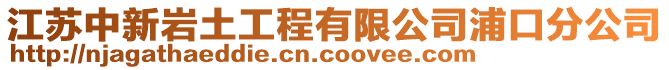 江蘇中新巖土工程有限公司浦口分公司