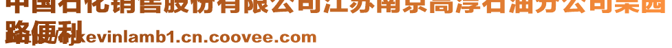 中國(guó)石化銷售股份有限公司江蘇南京高淳石油分公司栗園
路便利