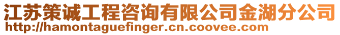 江蘇策誠(chéng)工程咨詢有限公司金湖分公司