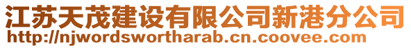 江蘇天茂建設(shè)有限公司新港分公司