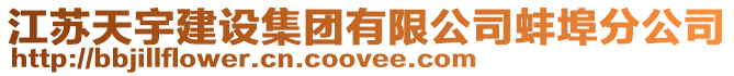 江蘇天宇建設(shè)集團(tuán)有限公司蚌埠分公司