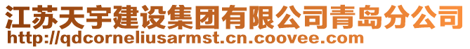 江蘇天宇建設集團有限公司青島分公司