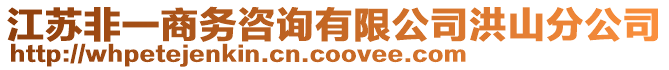 江蘇非一商務咨詢有限公司洪山分公司