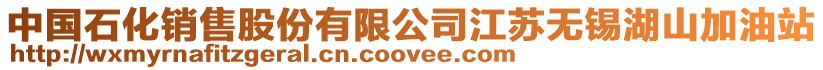 中國石化銷售股份有限公司江蘇無錫湖山加油站