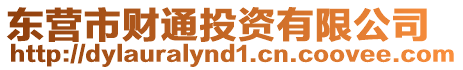 東營市財通投資有限公司