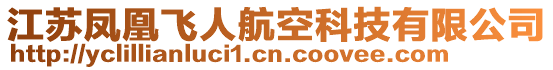 江蘇鳳凰飛人航空科技有限公司