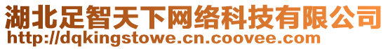 湖北足智天下網(wǎng)絡(luò)科技有限公司