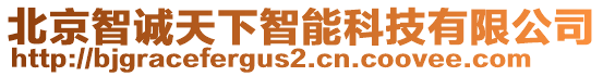 北京智誠天下智能科技有限公司