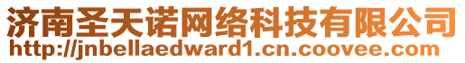 濟(jì)南圣天諾網(wǎng)絡(luò)科技有限公司