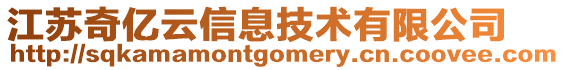 江蘇奇億云信息技術有限公司