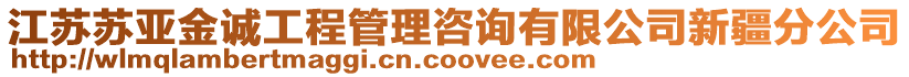 江蘇蘇亞金誠工程管理咨詢有限公司新疆分公司