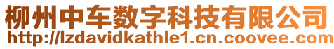 柳州中車數字科技有限公司