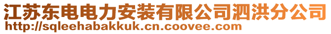 江蘇東電電力安裝有限公司泗洪分公司