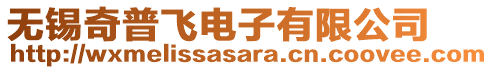 無(wú)錫奇普飛電子有限公司