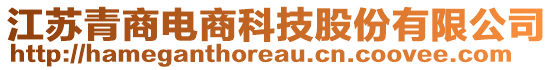 江蘇青商電商科技股份有限公司