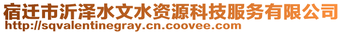 宿遷市沂澤水文水資源科技服務(wù)有限公司