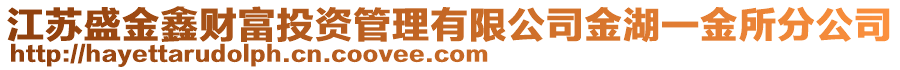 江蘇盛金鑫財富投資管理有限公司金湖一金所分公司