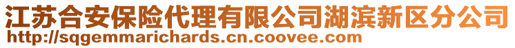 江蘇合安保險代理有限公司湖濱新區(qū)分公司