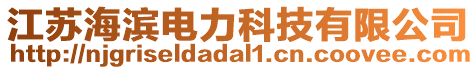 江蘇海濱電力科技有限公司