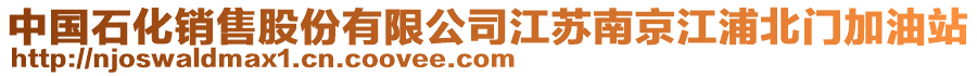 中國(guó)石化銷售股份有限公司江蘇南京江浦北門加油站